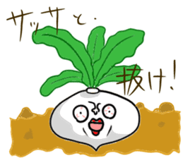 Many Cute vegetables sticker #4571775