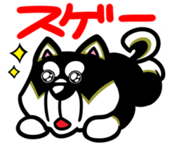 Natural grass Shiba sticker #4572138