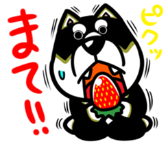 Natural grass Shiba sticker #4572139