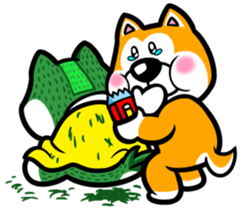 Natural grass Shiba sticker #4572148