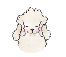 Noah sticker #4573217