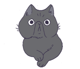 Exotic shorthair cats sticker #4574435