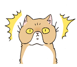 Exotic shorthair cats sticker #4574436