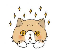 Exotic shorthair cats sticker #4574437