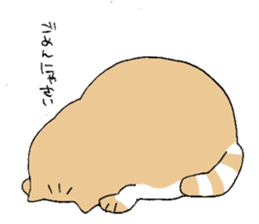Exotic shorthair cats sticker #4574440