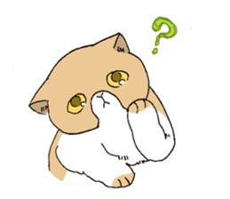 Exotic shorthair cats sticker #4574444