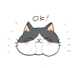 Exotic shorthair cats sticker #4574451