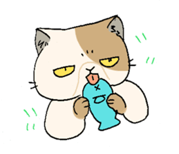 Exotic shorthair cats sticker #4574457
