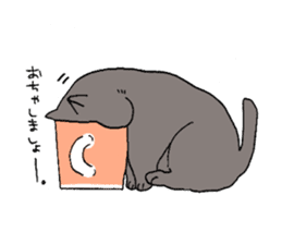 Exotic shorthair cats sticker #4574460