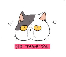 Exotic shorthair cats sticker #4574466