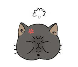 Exotic shorthair cats sticker #4574470