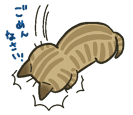 Trouble tabby sticker sticker #4579557