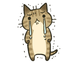 Trouble tabby sticker sticker #4579562