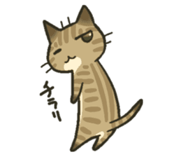 Trouble tabby sticker sticker #4579567