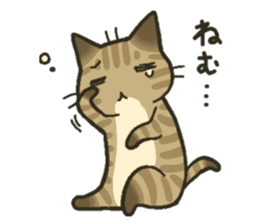 Trouble tabby sticker sticker #4579570