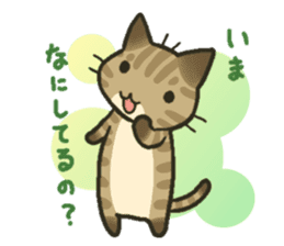 Trouble tabby sticker sticker #4579581