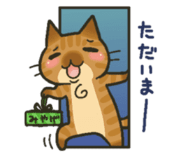 Trouble tabby sticker sticker #4579584
