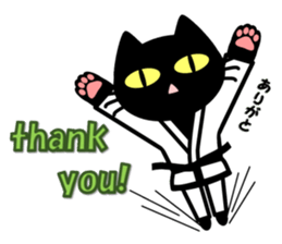 taekwon-do white cat and black cat sticker #4580315