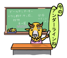 Japanese course of B.taxicolor teacher sticker #4582077