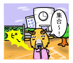 Japanese course of B.taxicolor teacher sticker #4582107