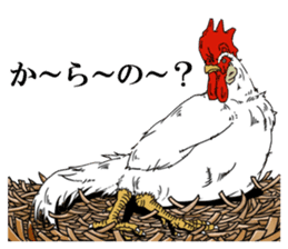 Brother chicken sticker #4584598