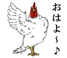 Brother chicken sticker #4584600