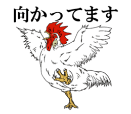 Brother chicken sticker #4584602