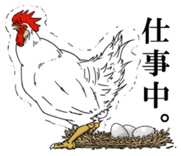 Brother chicken sticker #4584604