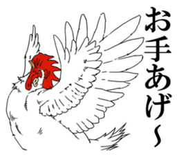 Brother chicken sticker #4584605