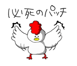 crazy chicken guy.2 sticker #4584878