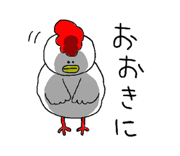 crazy chicken guy.2 sticker #4584884