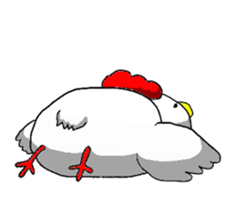 crazy chicken guy.2 sticker #4584894