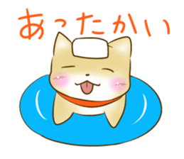 Shiba Inu Chiron Stickers sticker #4586927