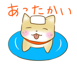 Shiba Inu Chiron Stickers sticker #4586927