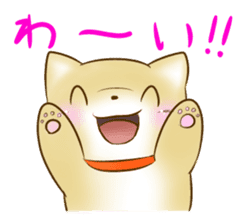 Shiba Inu Chiron Stickers sticker #4586931