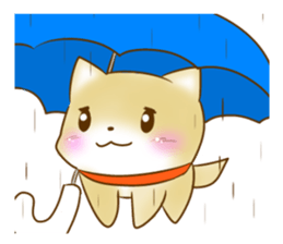 Shiba Inu Chiron Stickers sticker #4586934