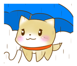 Shiba Inu Chiron Stickers sticker #4586934