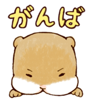 BEBIUSO! ~Baby Otter!~ sticker #4587435