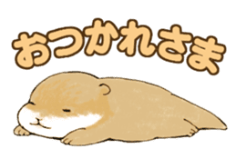 BEBIUSO! ~Baby Otter!~ sticker #4587439
