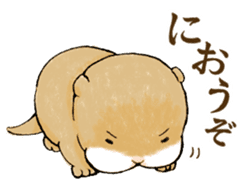 BEBIUSO! ~Baby Otter!~ sticker #4587470