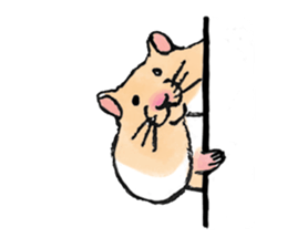 A HAMSTER'S LIFE sticker #4588798