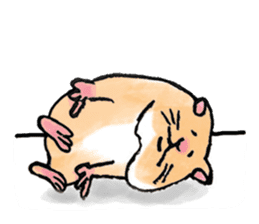 A HAMSTER'S LIFE sticker #4588803
