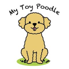 My Toy Poodle vol.1