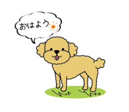 My Toy Poodle vol.1 sticker #4589832