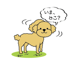 My Toy Poodle vol.1 sticker #4589833
