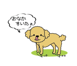 My Toy Poodle vol.1 sticker #4589834