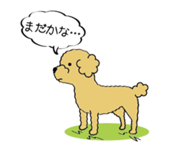My Toy Poodle vol.1 sticker #4589837