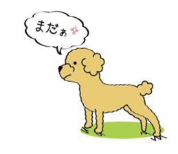 My Toy Poodle vol.1 sticker #4589838