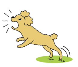 My Toy Poodle vol.1 sticker #4589840