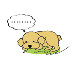 My Toy Poodle vol.1 sticker #4589841